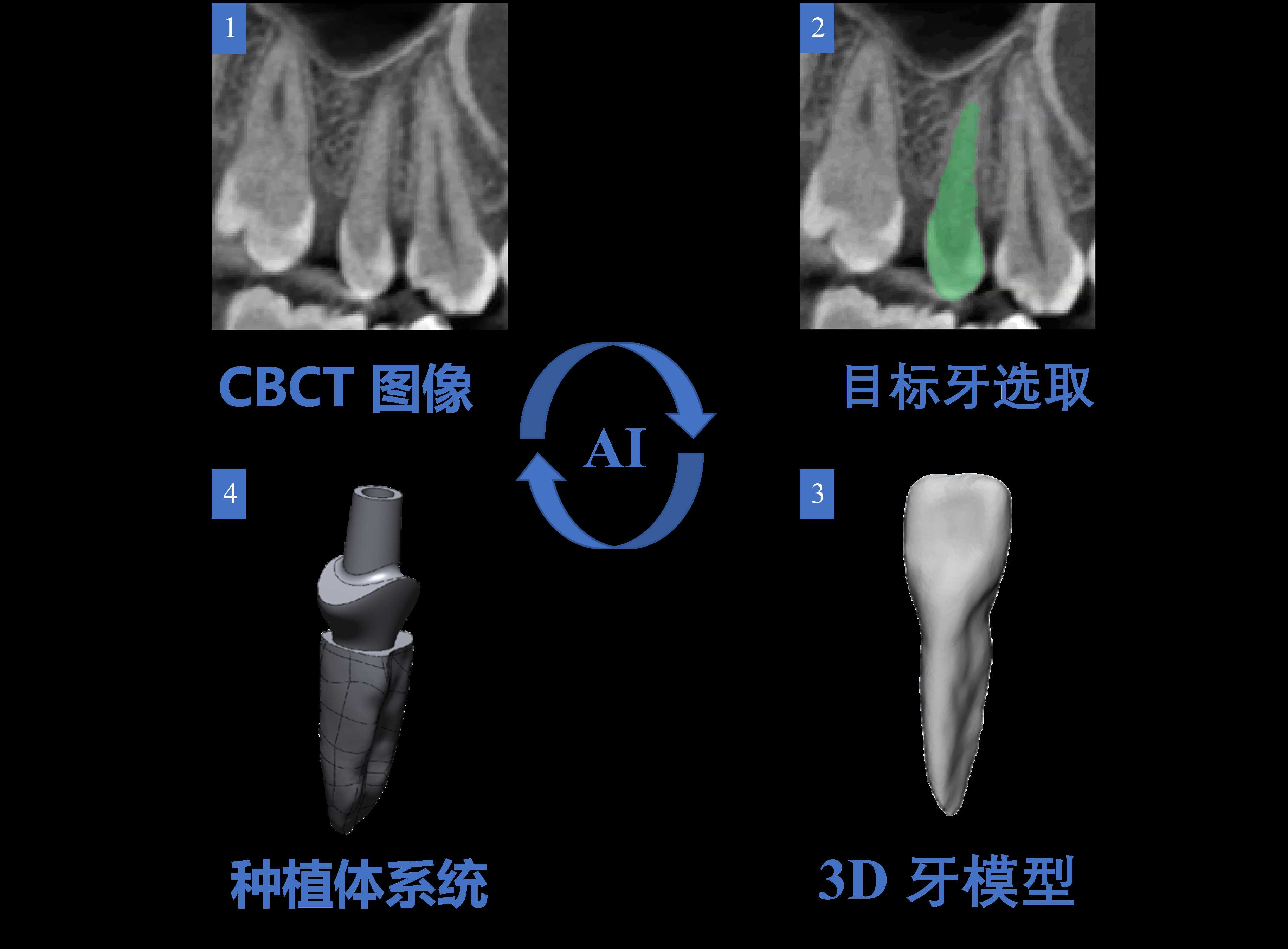 个性化定制